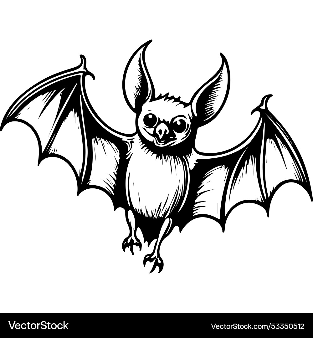 Engrave Bat Drawing Realistic Outline Line Vector Image