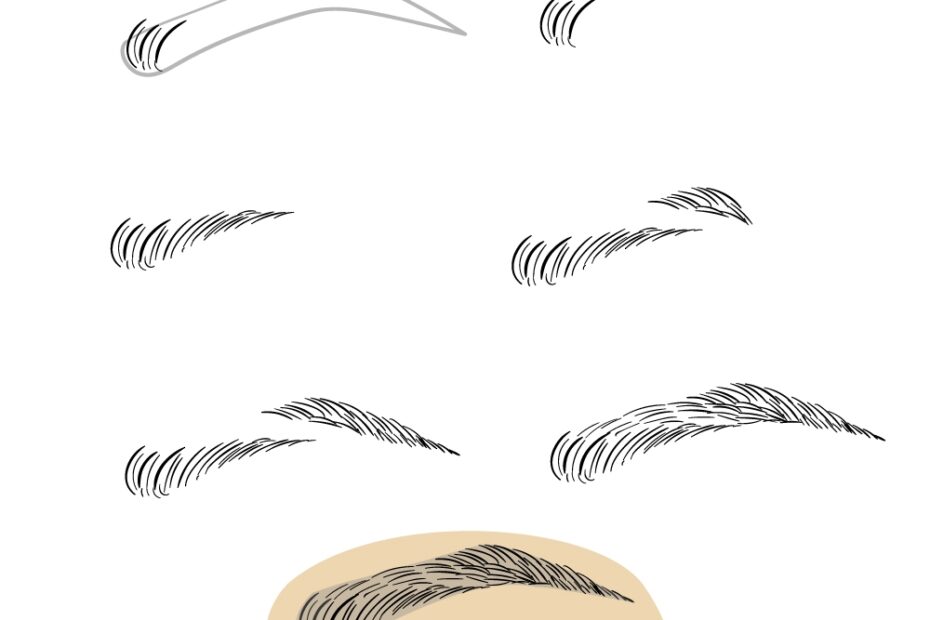 Eyebrow Drawing How To Draw An Eyebrow Step By Step