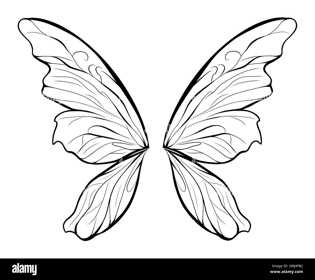 Fairy Wings Black And White Stock Photos U0026 Images Alamy