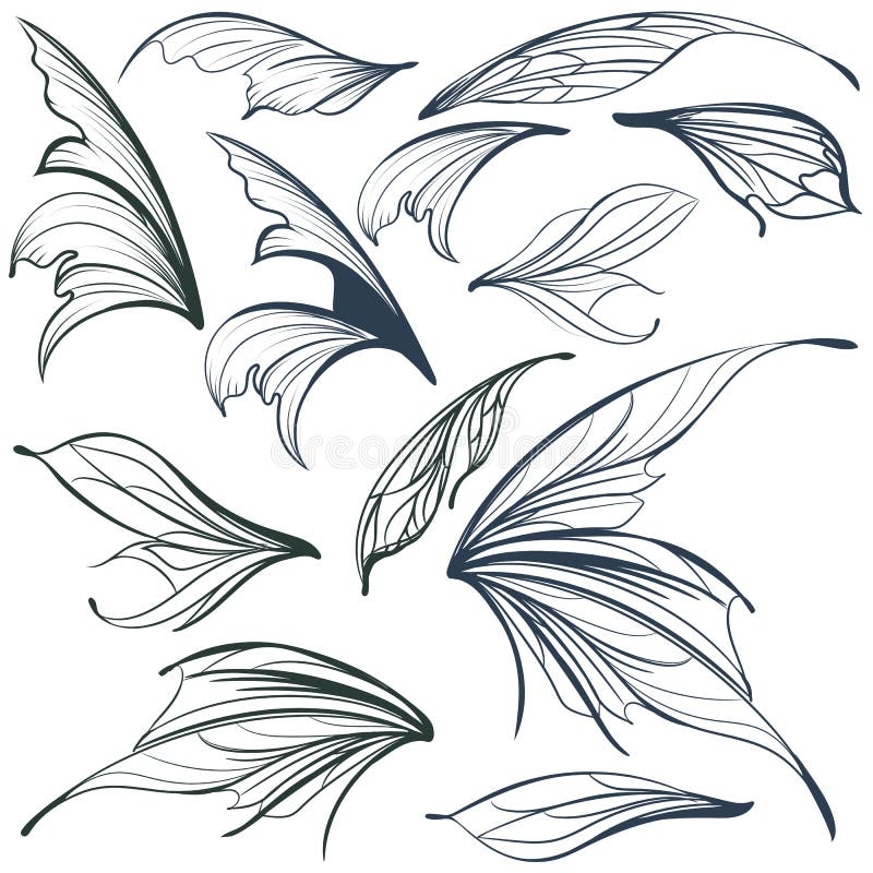 fairy wings drawing
