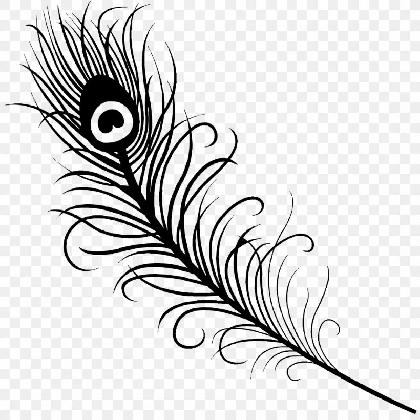 feather drawing