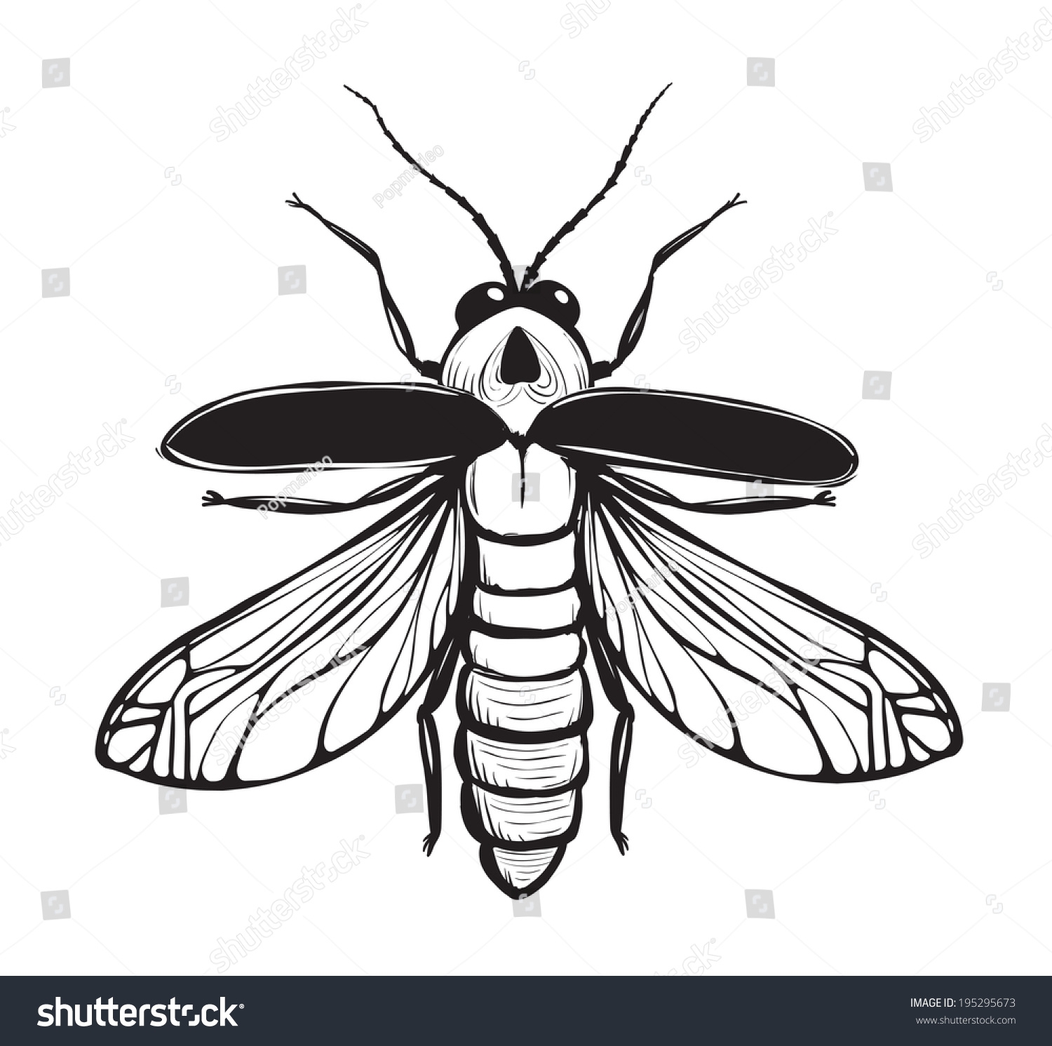Firefly Insect Black Inky Drawing Bug Stock Vector Royalty Free 195295673 Shutterstock