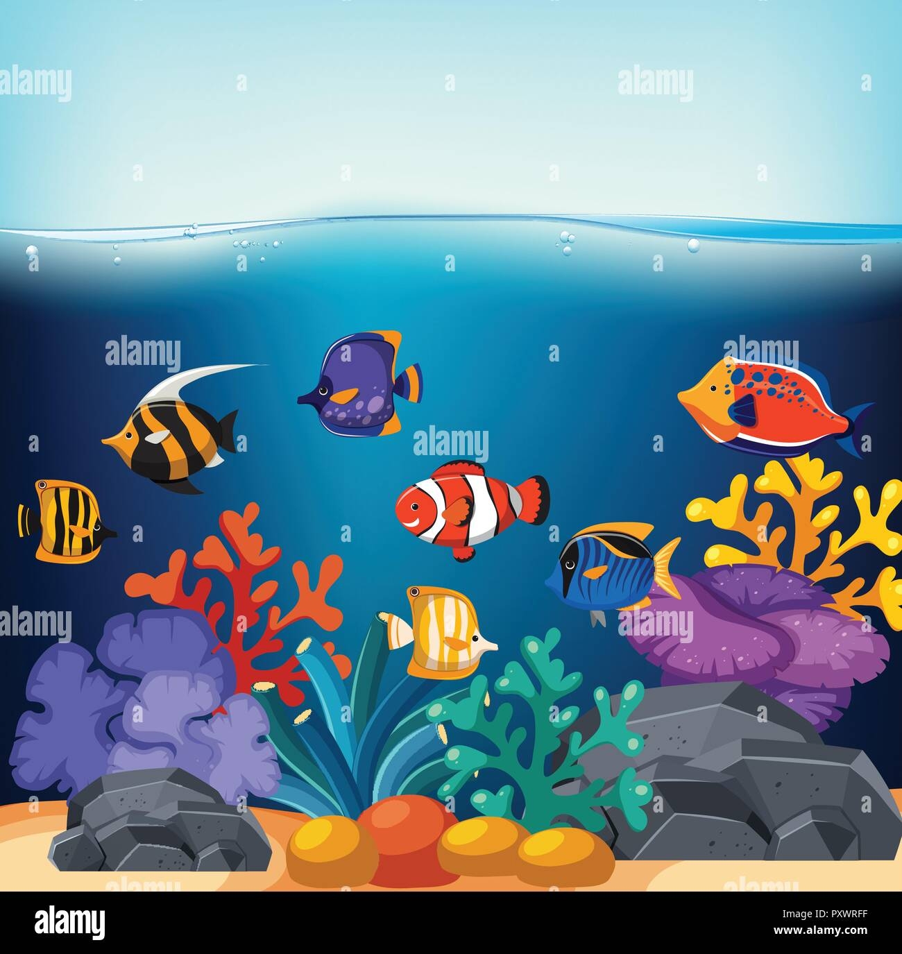 Fish And Corals In Fish Tank Illustration Stock Vector Image U0026 Art Alamy