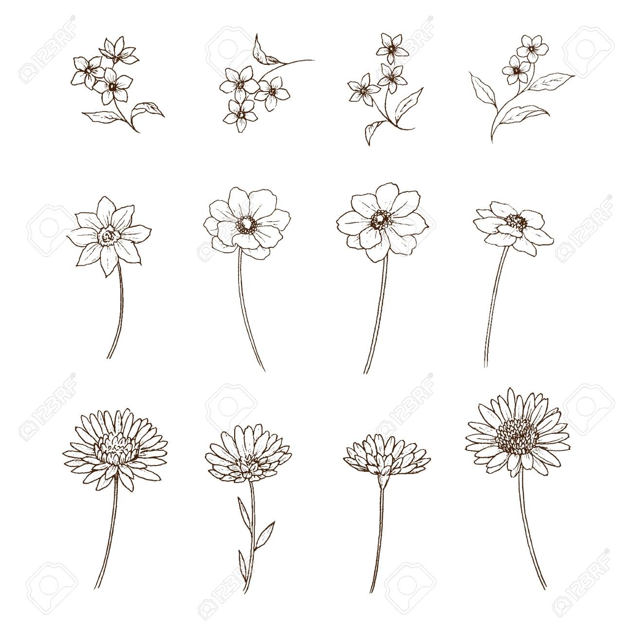 Flower Pen Drawing Set Royalty Free SVG Cliparts Vectors And Stock Illustration Image 133022338 