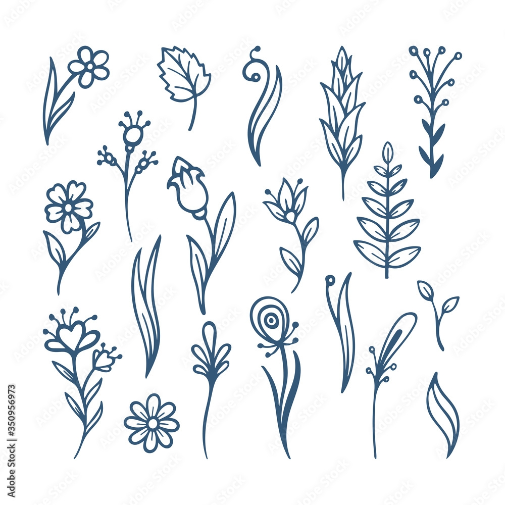 Flowers Leafs And Floral Design Elements Sketch Drawing 