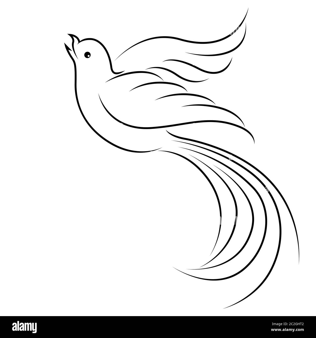 bird flying drawing