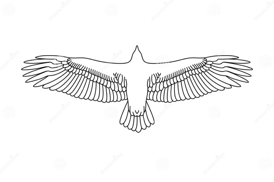 Flying Eagle Stencil Bird Drawing Stock Vector Illustration Of Artwork Emblem 230345342