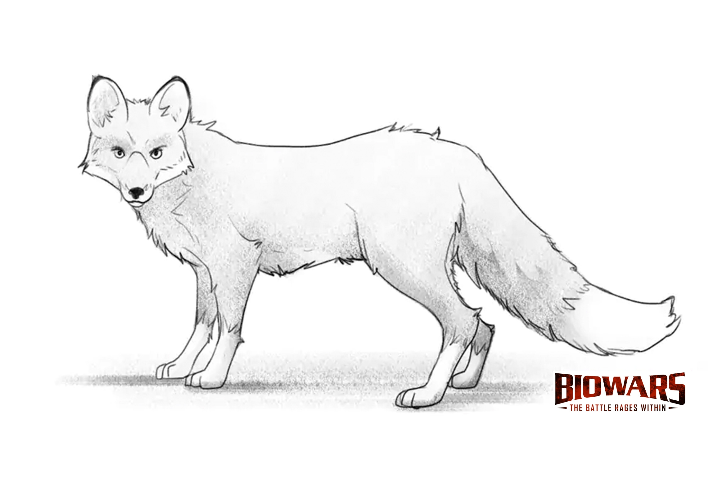 Fox Drawing Guide In 6 Steps For Beginners Video Images 