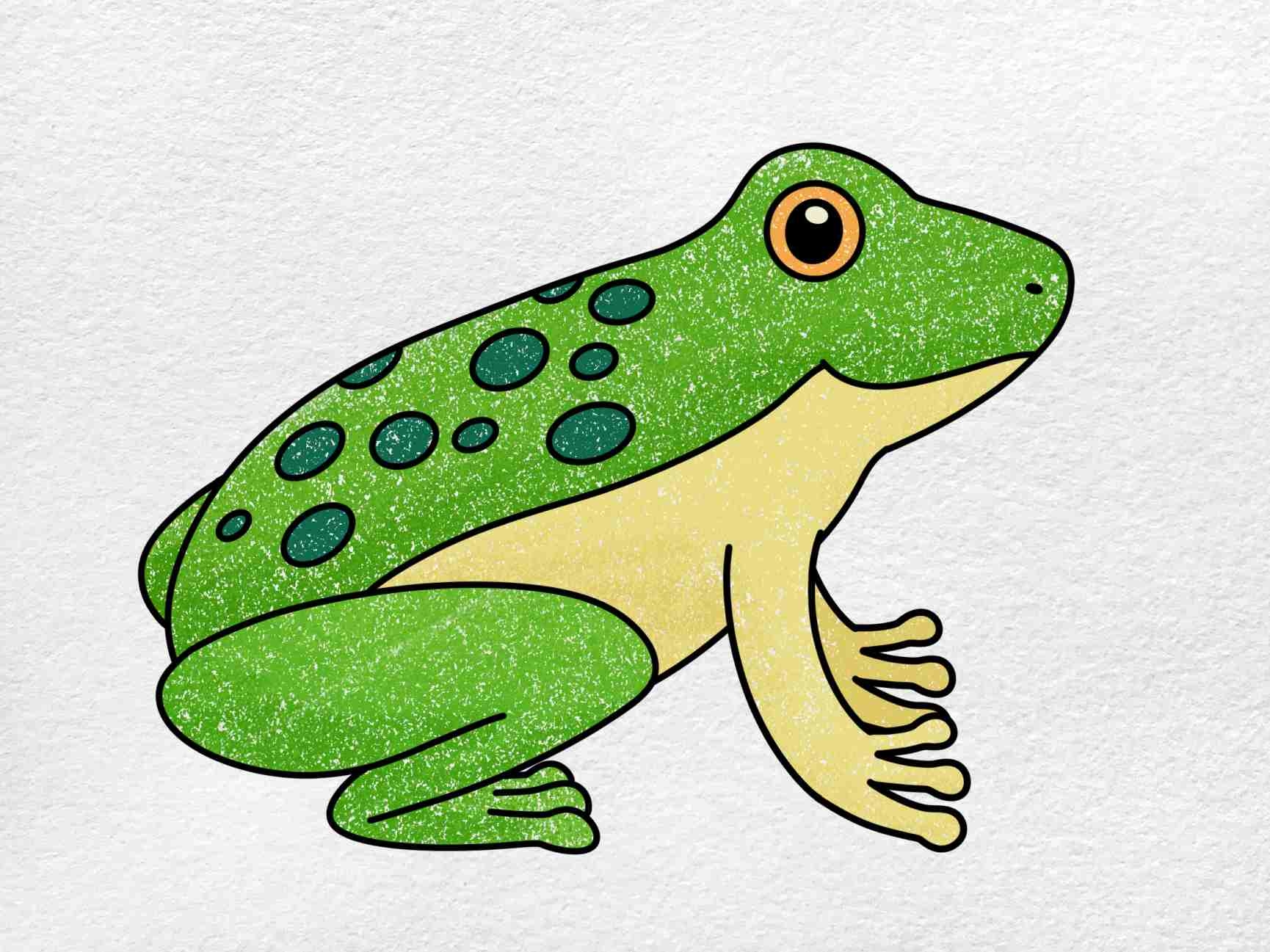 draw a frog easy