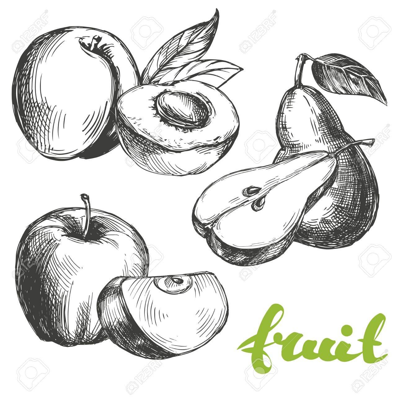 Fruit Peach Apple Pear Set Hand Drawn Vector Illustration 