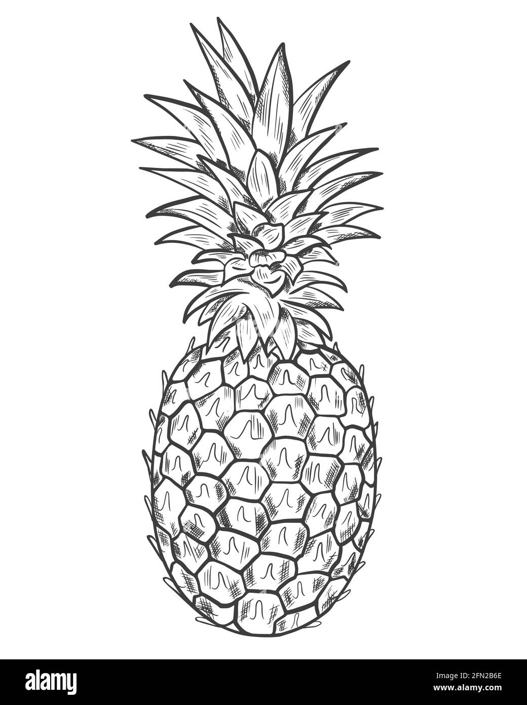fruits drawing