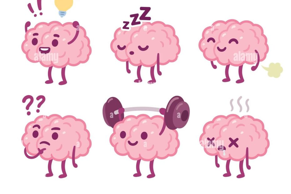 Funny Cartoon Brain Character Drawing Set Smart Brain With Lightbulb Sleeping Farting Thinking Training And Dead Cute Vector Hand Drawn Illustra Stock Vector Image U0026 Art Alamy