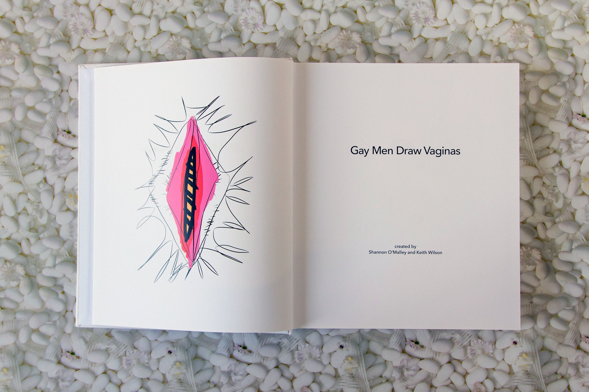 how to draw a vag