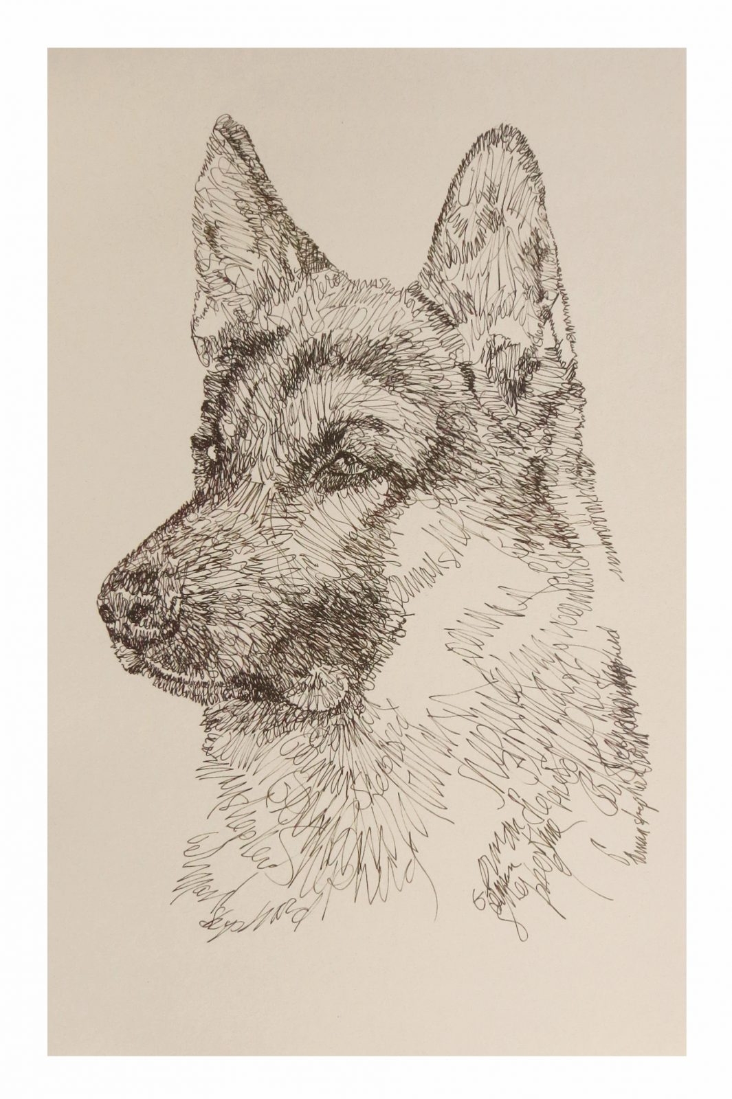 german shepherd drawing