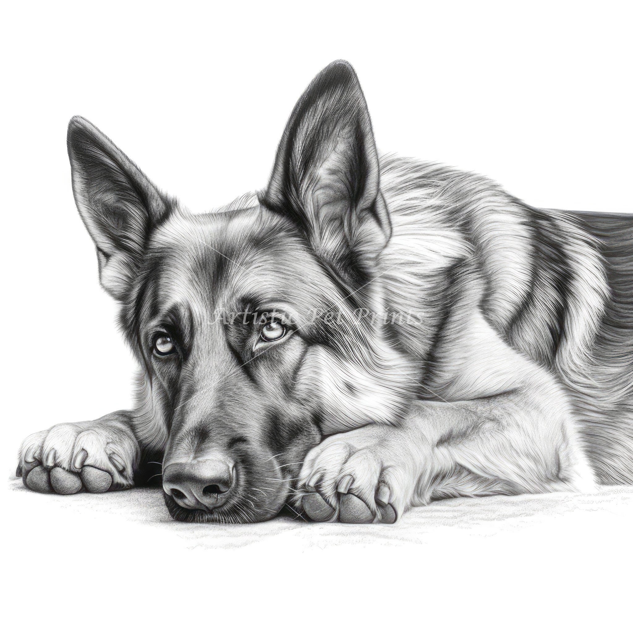 German Shepherd Sketch Drawings 10 High Quality Jpg s Digital Download Wall Art Canvas Art Painting Card Making Mugs Coasters Etsy
