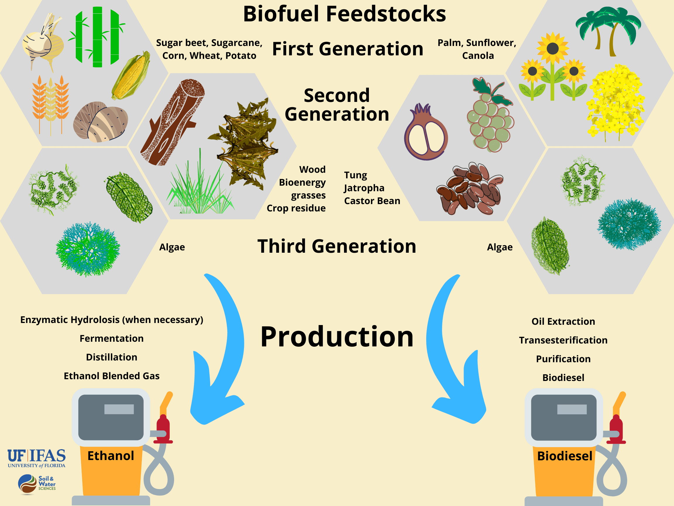 Get To Know Biofuels Soil Water And Ecosystem Sciences