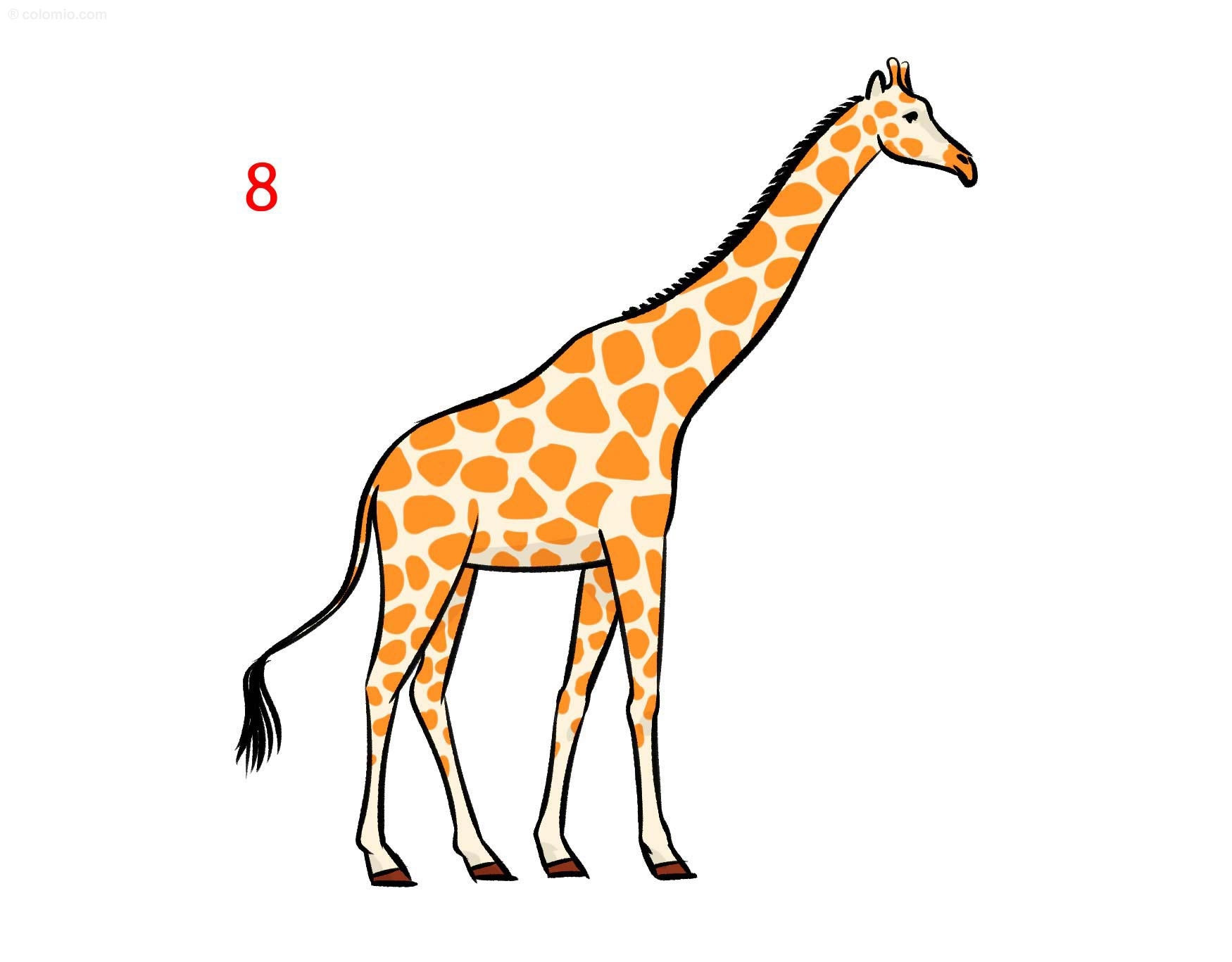 giraffe drawings