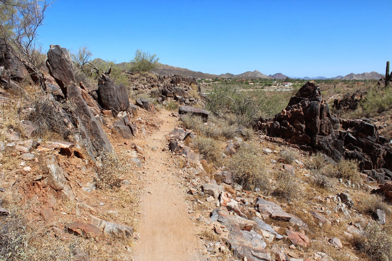 Gjhikes Dreamy Draw Nature Trail