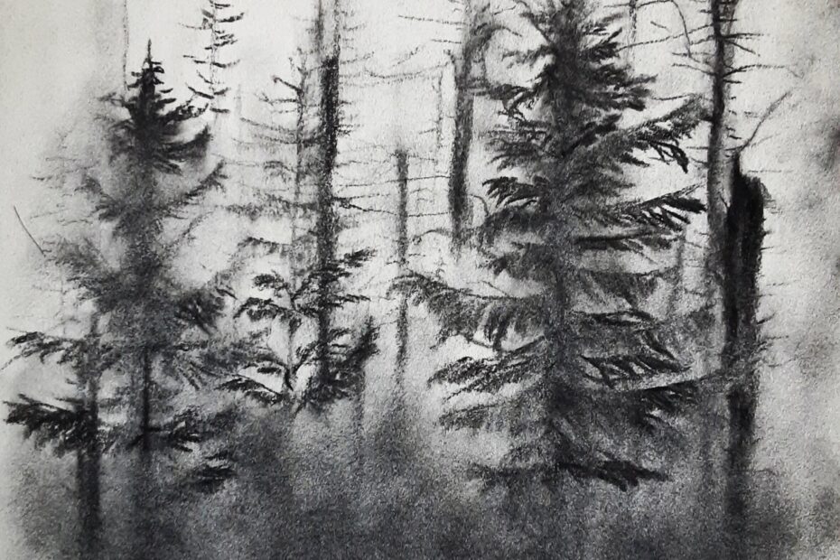 Gloomy Forest Landscape Charcoal Drawing Rustic Landscape Charcoal Drawing Gallery Wall Art Without Frame
