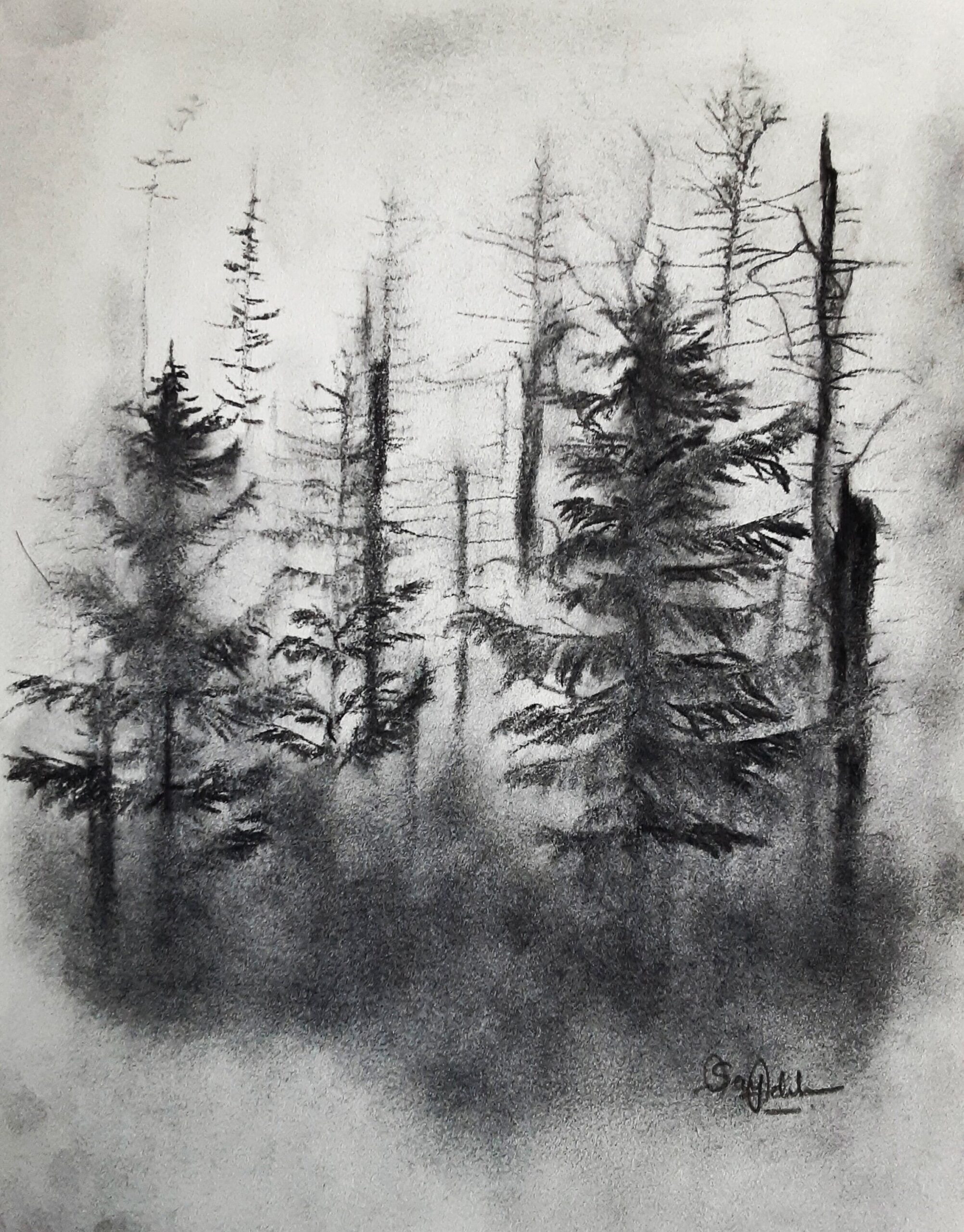 Gloomy Forest Landscape Charcoal Drawing Rustic Landscape Charcoal Drawing Gallery Wall Art Without Frame 