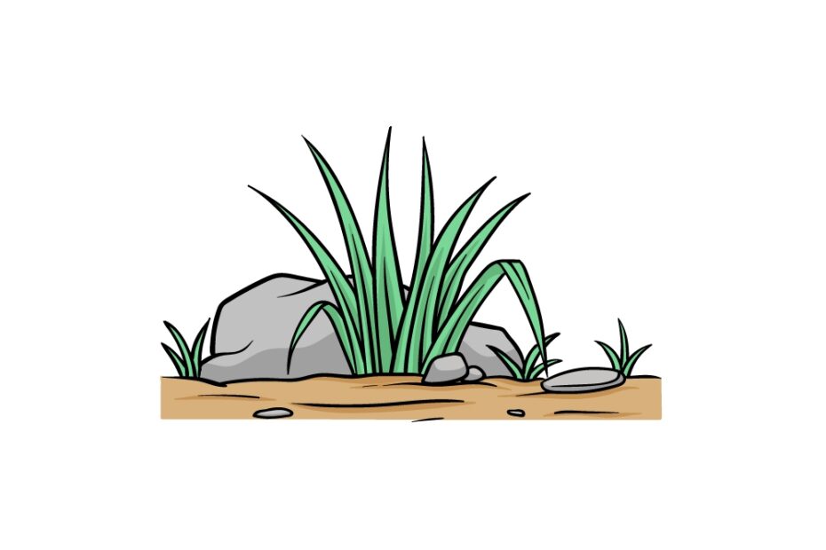Grass Drawing How To Draw Grass Step By Step