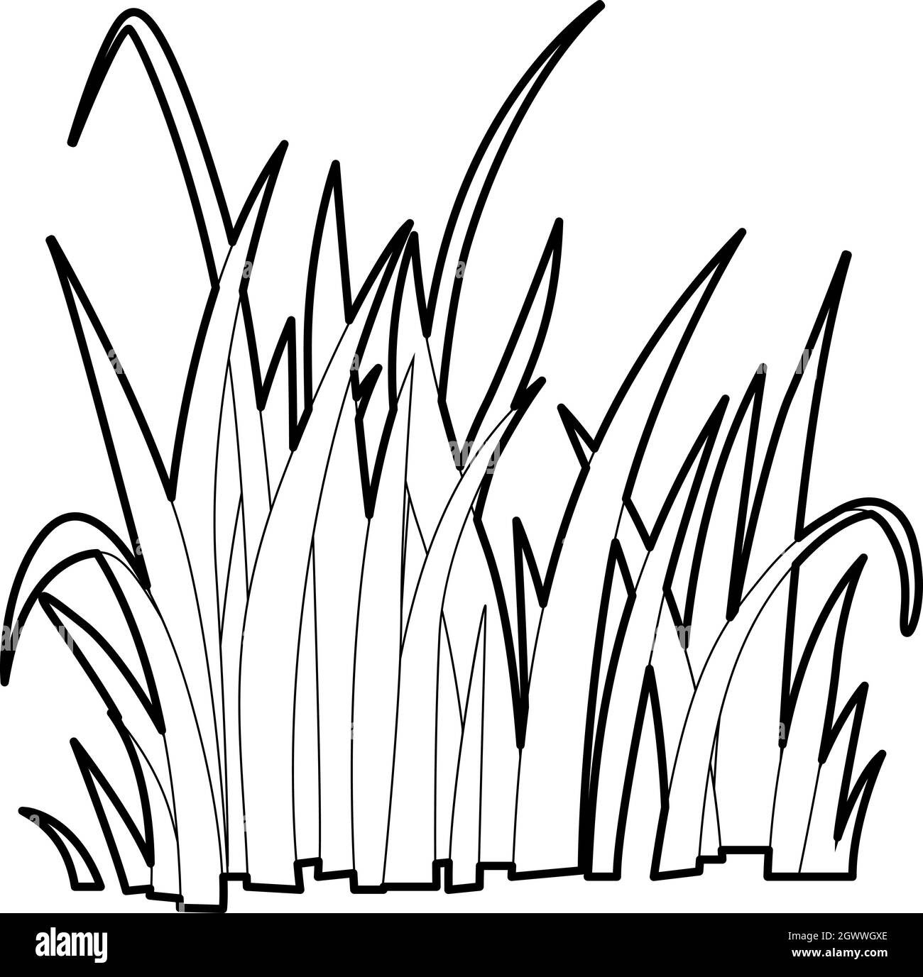 Grass Outline Illustration Hi res Stock Photography And Images Alamy
