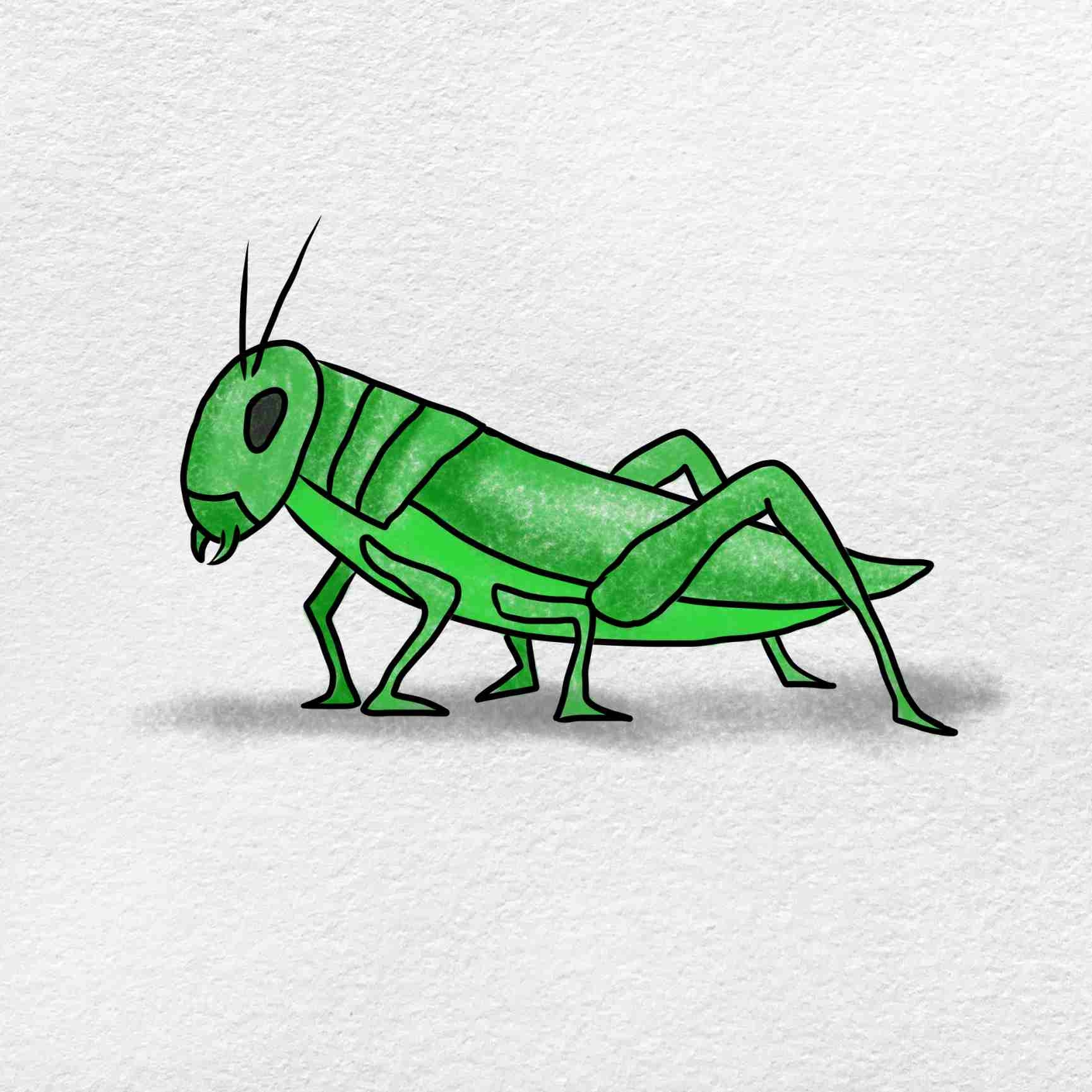Grasshopper Drawing HelloArtsy