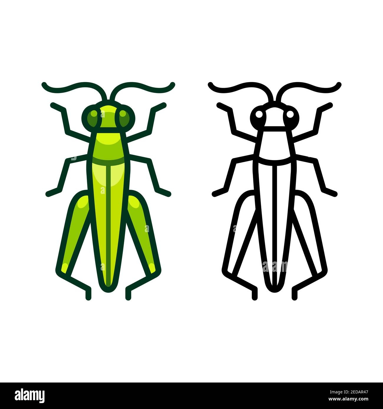 grasshopper drawing