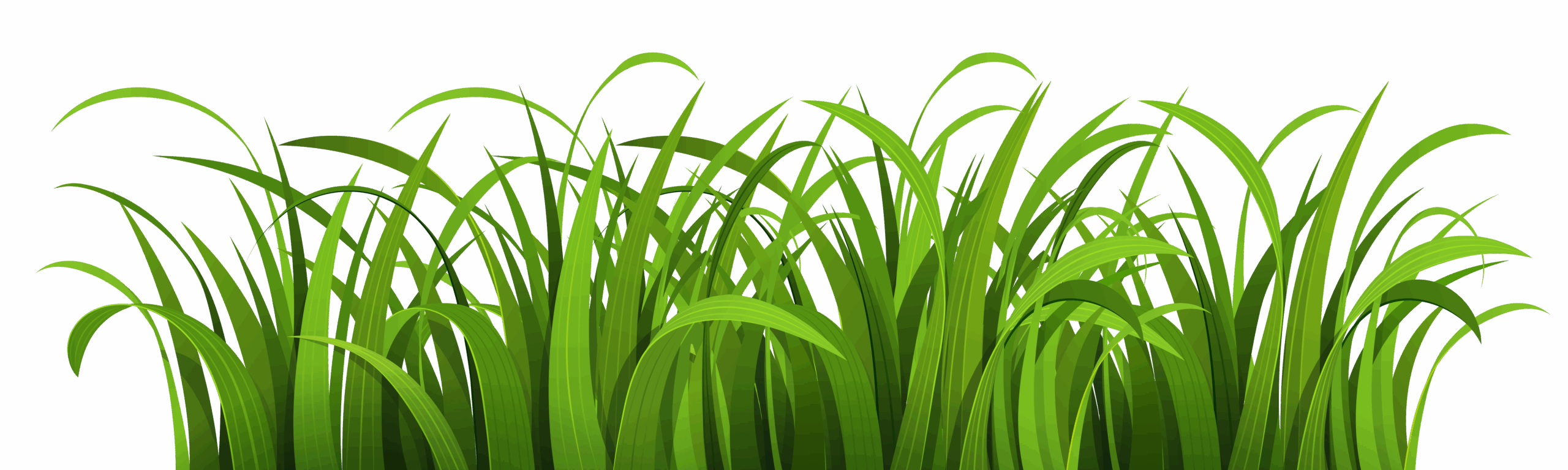 Green Grass Drawing Clipart Sky Pasture Shepherd PNG Transparent Background 7500x2250px Filesize 1699420kb TransparentPNG