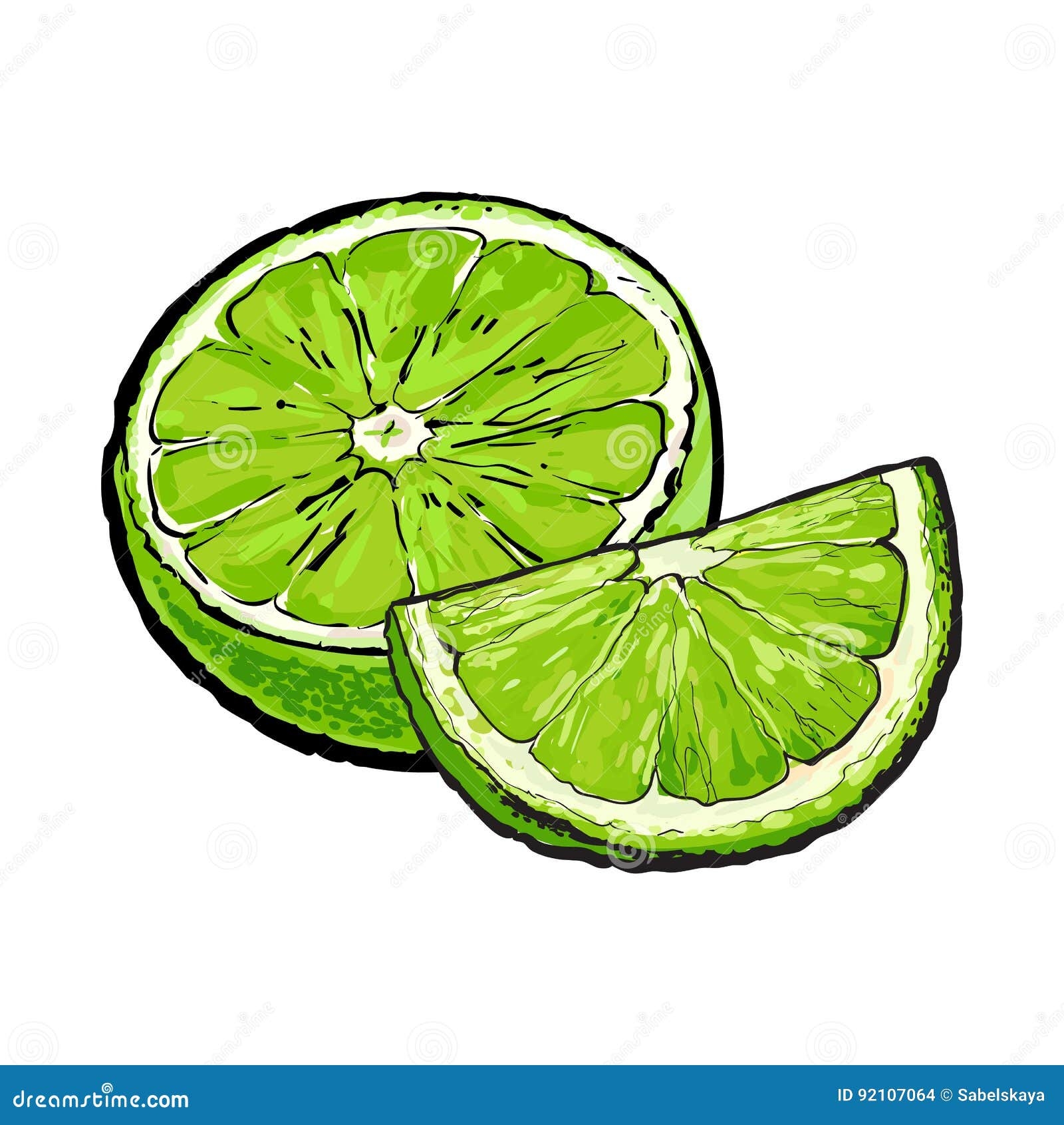 Half And Quarter Of Ripe Green Lime Hand Drawn Illustration Stock 