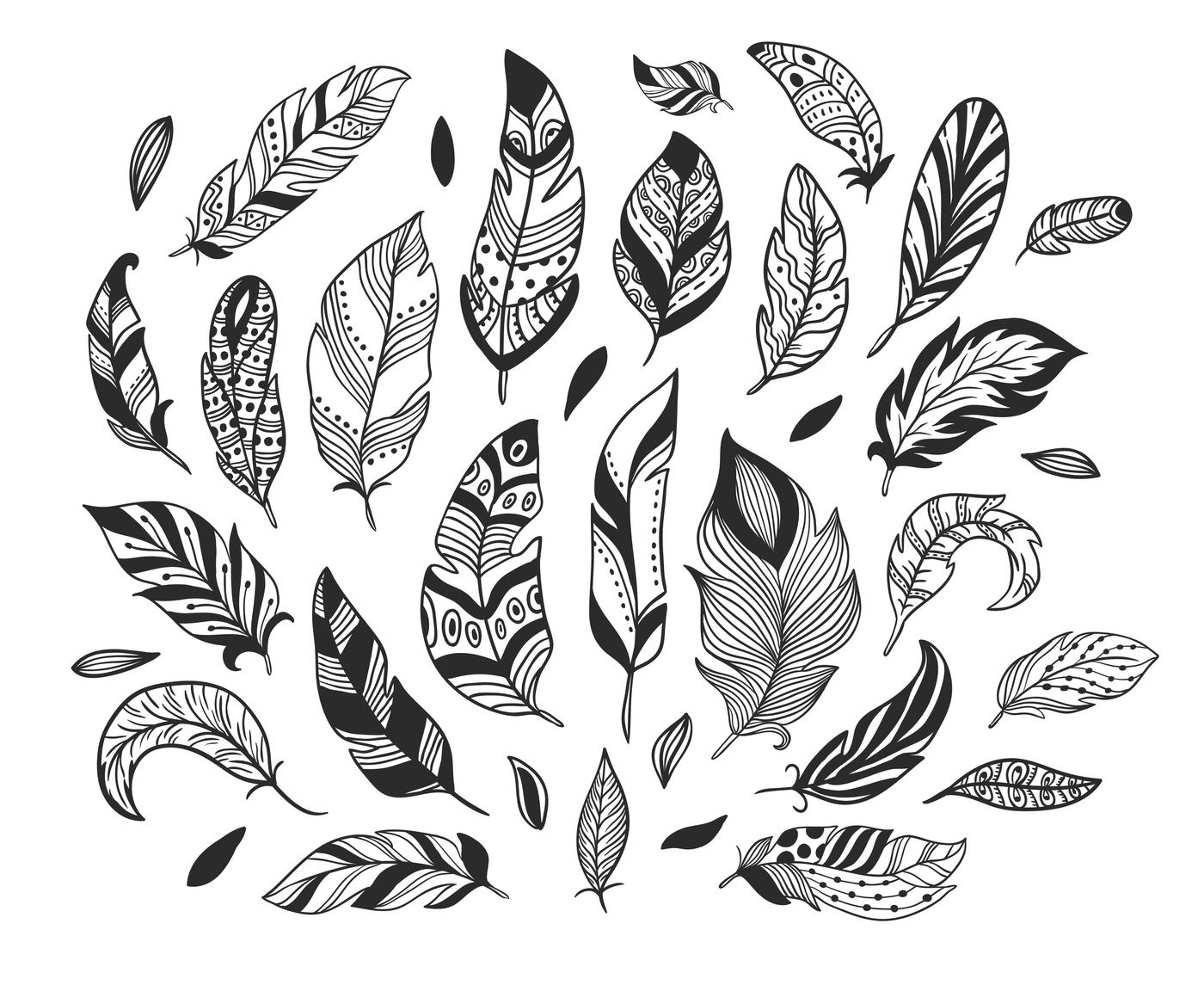 Hand Drawn Feathers Sketch Bird Feather Retro Artistic Drawing Ink P By Tartila TheHungryJPEG