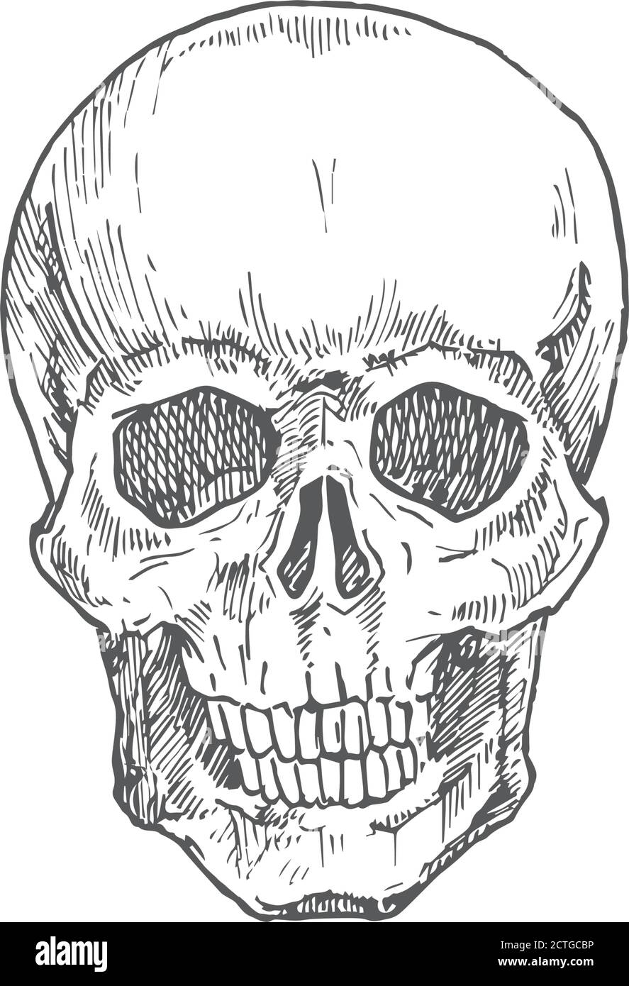 Hand Drawn Halloween Scary Scull Vector Illustration Abstract Rustic Sketch Holiday Engraving Style Drawing Stock Vector Image U0026 Art Alamy