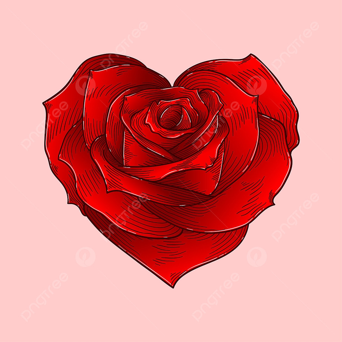 Hearts And Roses Drawing PNG Transparent Images Free Download Vector Files Pngtree