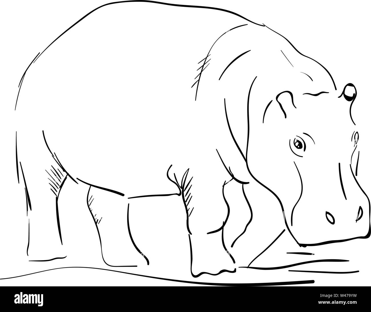 Hippopotamus Drawing Hi res Stock Photography And Images Alamy