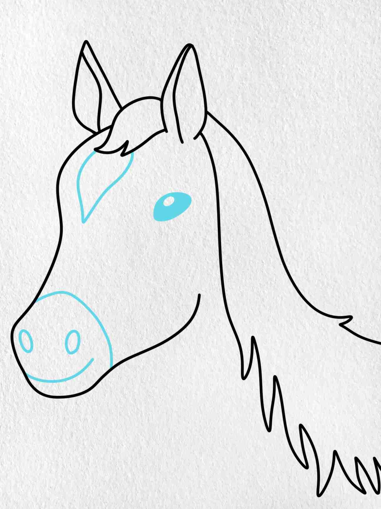 Horse Head Drawing easy HelloArtsy