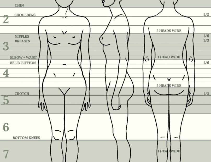 How To Always Get The Female Body Proportions In Drawing Right