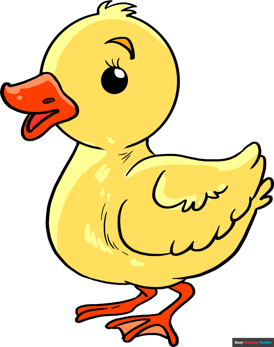 duck simple drawing