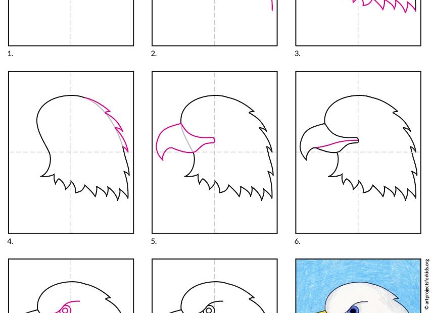 How To Draw A Bald Eagle Easy Step by Step Art Lesson For Kids