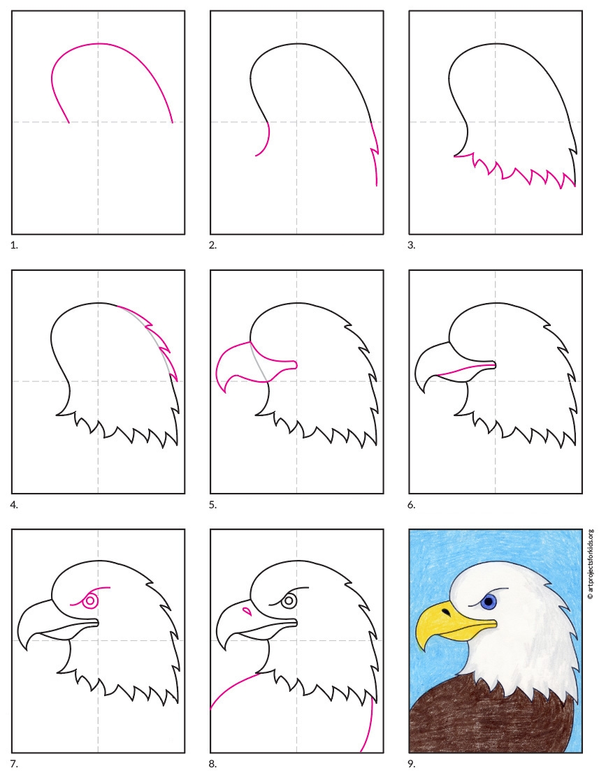 How To Draw A Bald Eagle Easy Step by Step Art Lesson For Kids