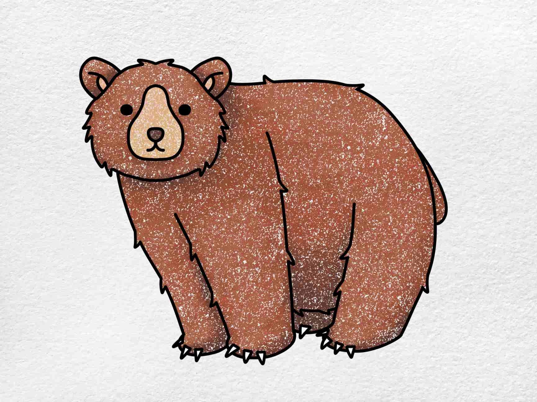 How To Draw A Bear HelloArtsy
