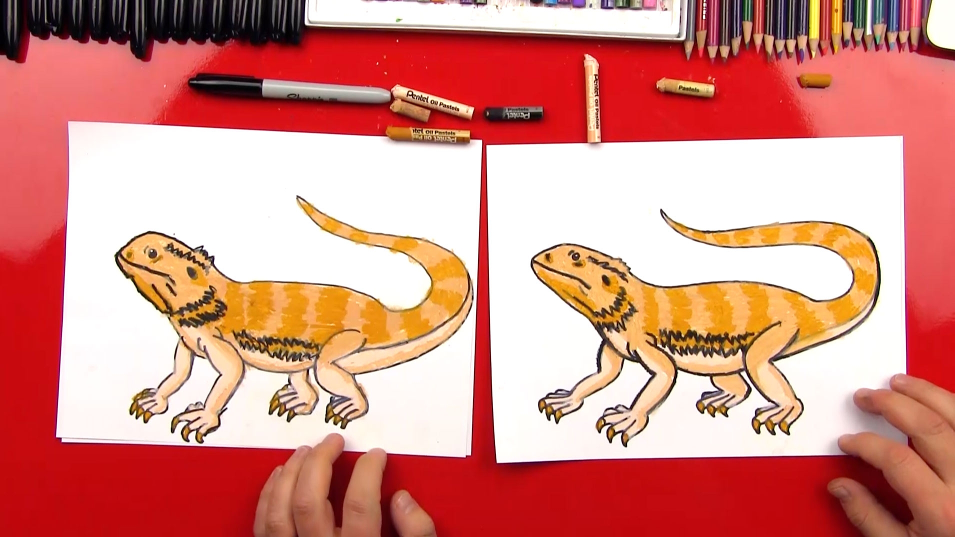 bearded dragon drawing