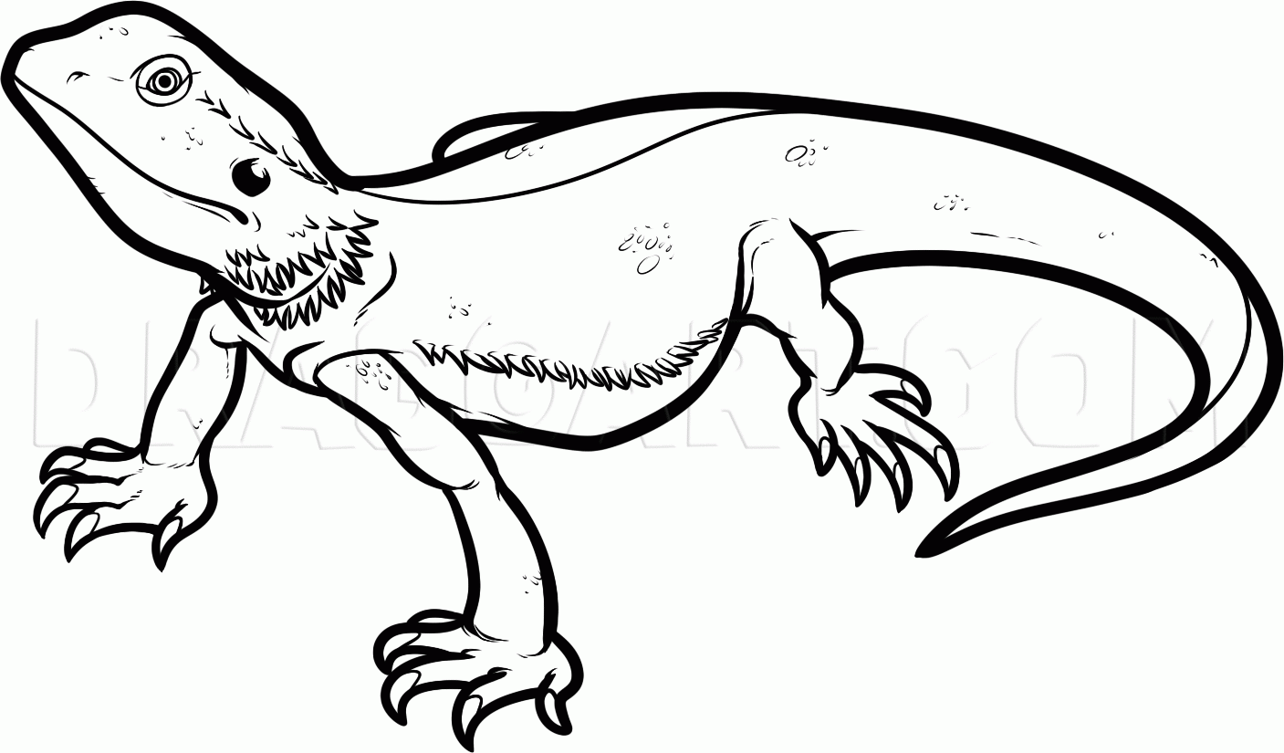 How To Draw A Bearded Dragon Bearded Dragon Lizard Drawing Step 
