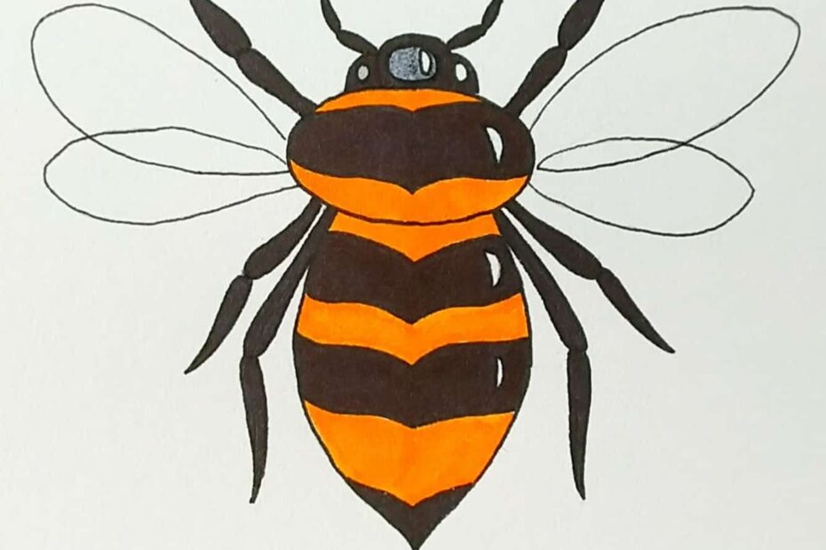 How To Draw A Bee Skip To My Lou