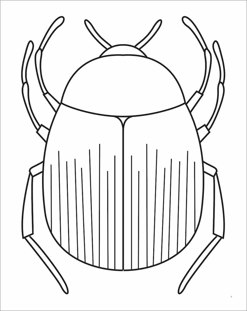 How To Draw A Beetle Easy Step by Step Art Lesson For Kids