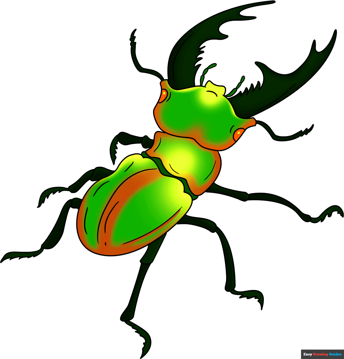 beetle drawing