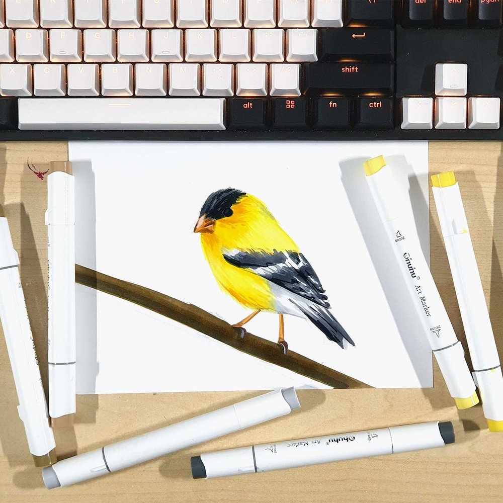 how to draw a simple bird