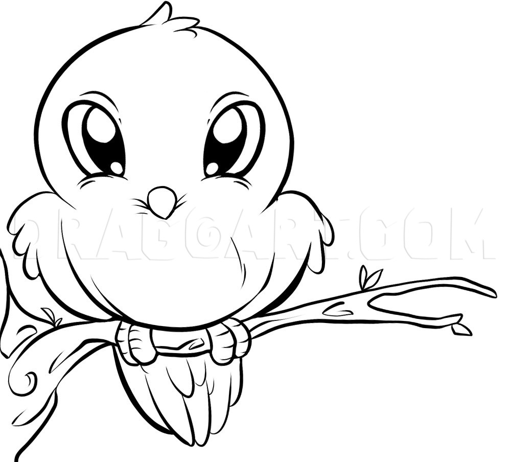 How To Draw A Bird Drawing Step By Step By Dawn DragoArt