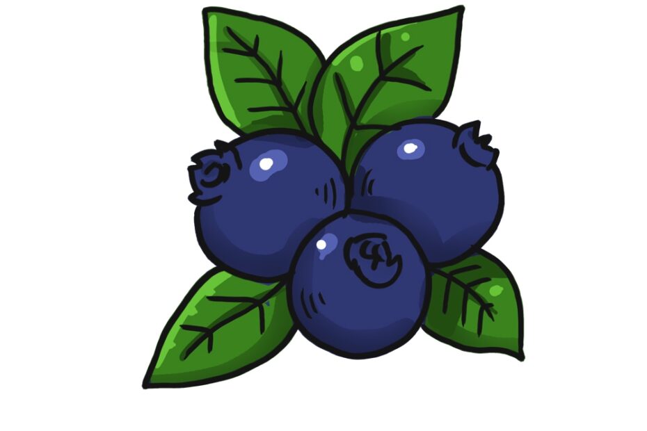 How To Draw A Blueberry Step By Step