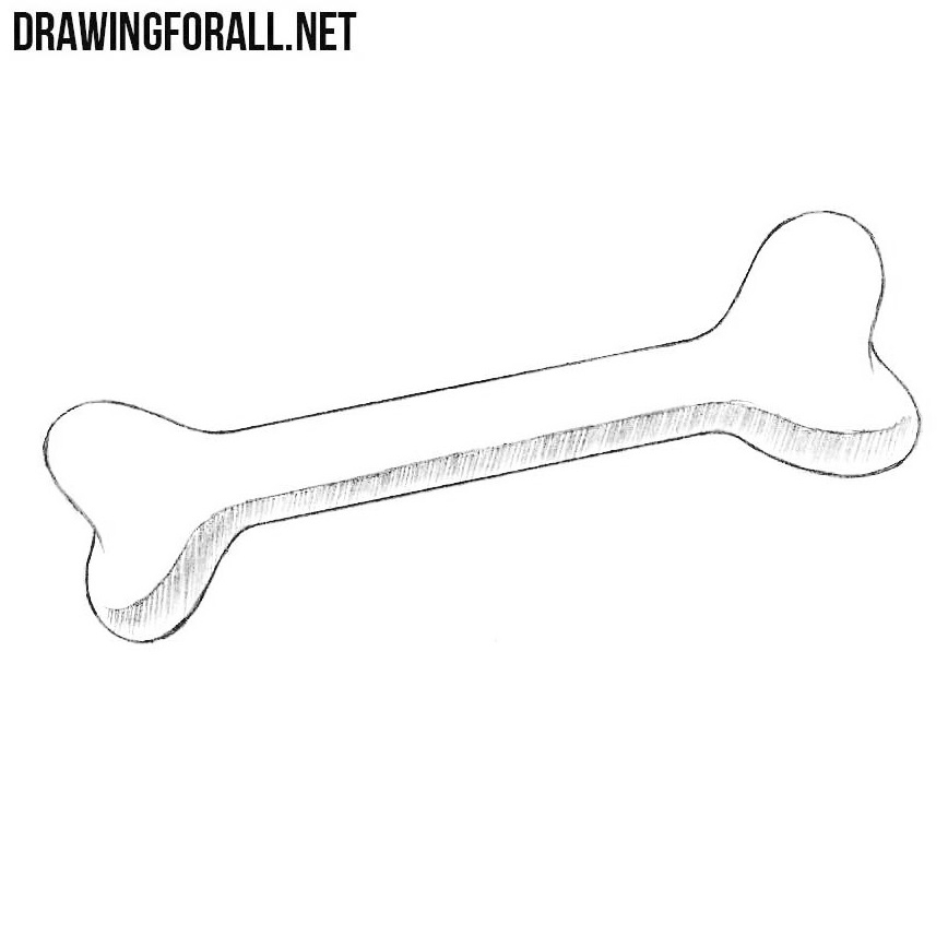 How To Draw A Bone Easy