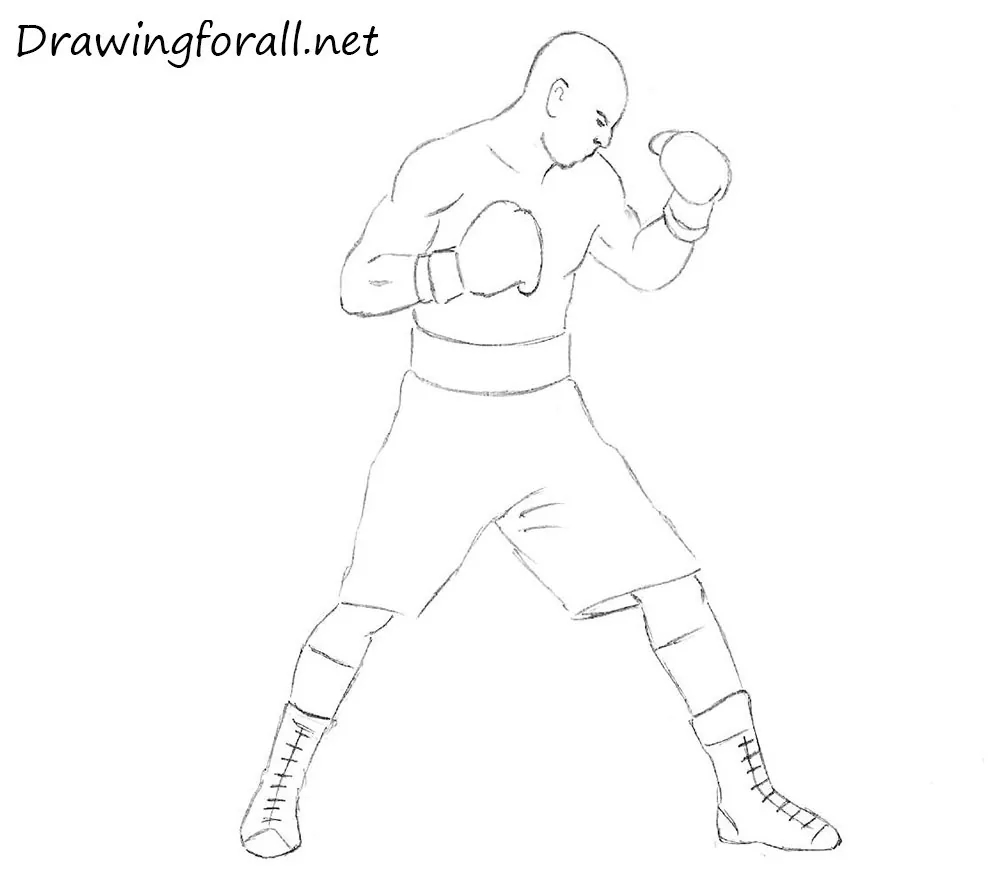 How To Draw A Boxer For Beginners